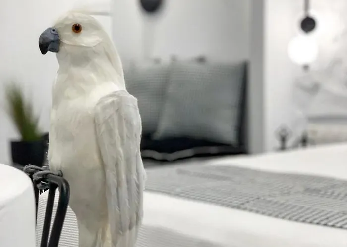 Lejlighedshotel Panos Naxos City